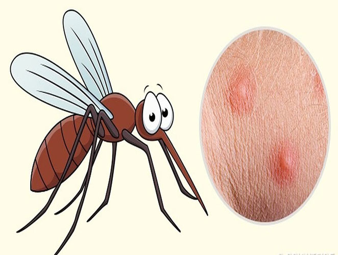 Vết đốt của muỗi sốt xuất huyết, muỗi sốt xuất huyết đốt có ngứa không?