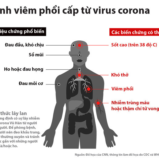 Nguồn gốc dịch virus corona xuất phát từ đâu?