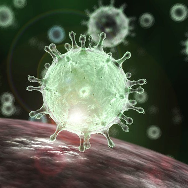 Mối quan hệ giữa nhóm máu, kháng thể và khả năng miễn dịch với virus Covid-19